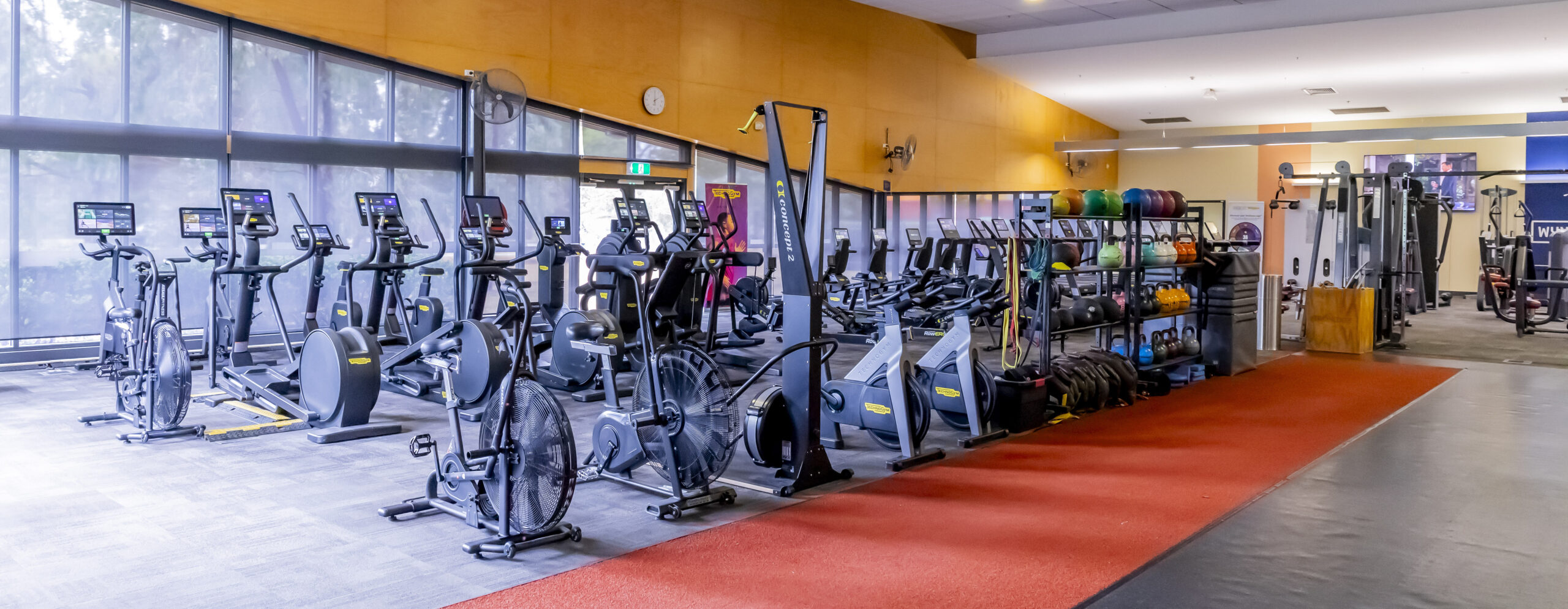 Fitness at WynActive Thumbnail