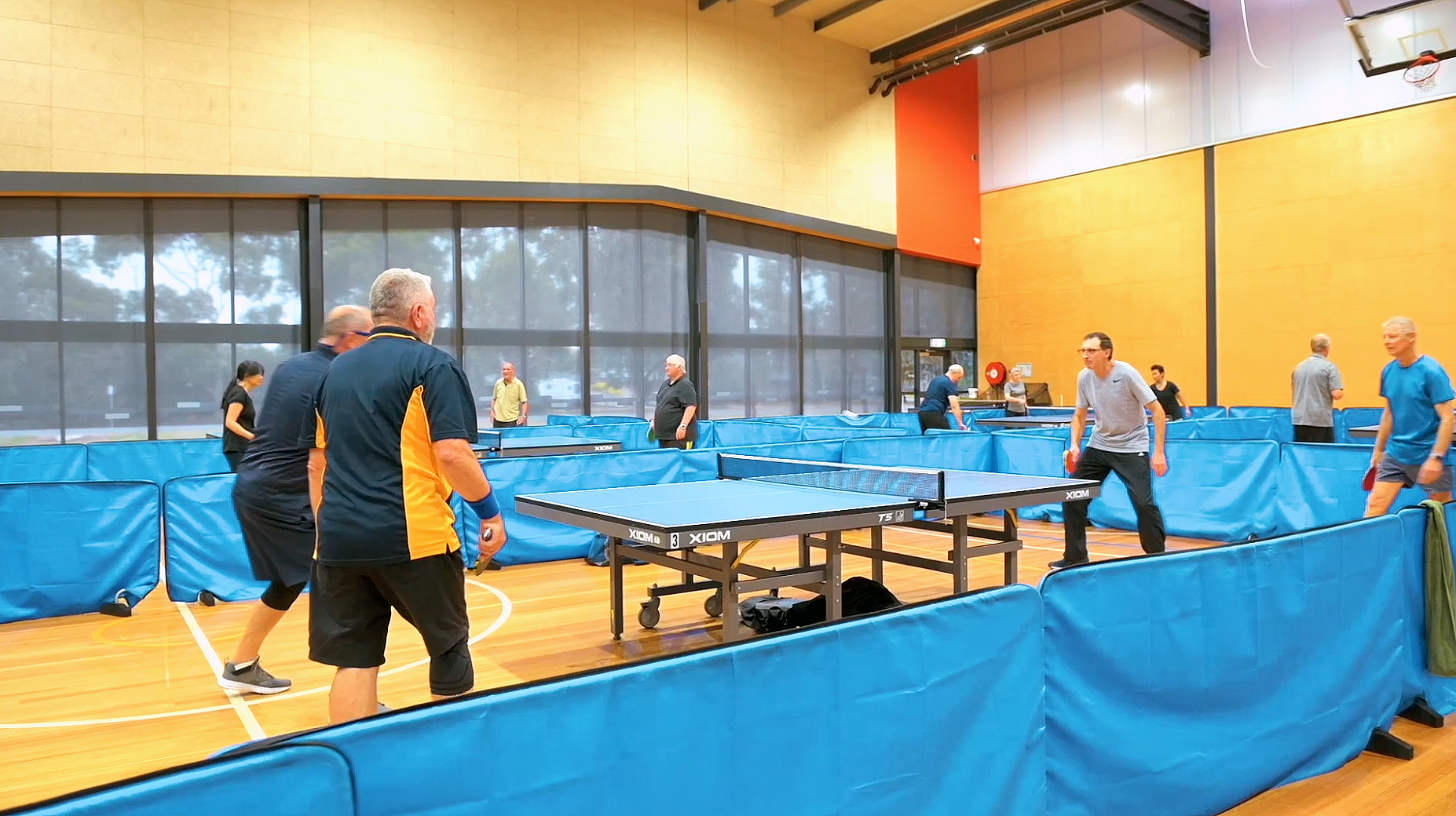 Table Tennis and Badminton Thumbnail